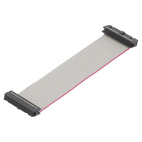 DS1052-262B2NA201501 CONNFLY, Ribbon cable with IDC connectors (DS1052-262B2NA2015)