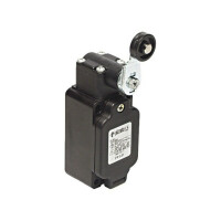 FP 531 PIZZATO ELETTRICA, Limit switch (FP531)