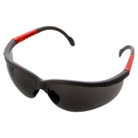 46035 LAHTI PRO, Safety spectacles (LAHTI-46035)