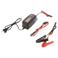 EPA1206PRO Everpower, Charger: for rechargeable batteries