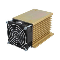 HS-081-120P ANLY ELECTRONICS, Radiator: extrudat