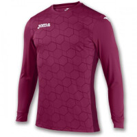 Bluza bramkarska Joma Derby III 100522.650