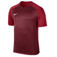 Koszulka piłkarska Nike Dry Team Trophy III Football Jersey Kids 881484-677