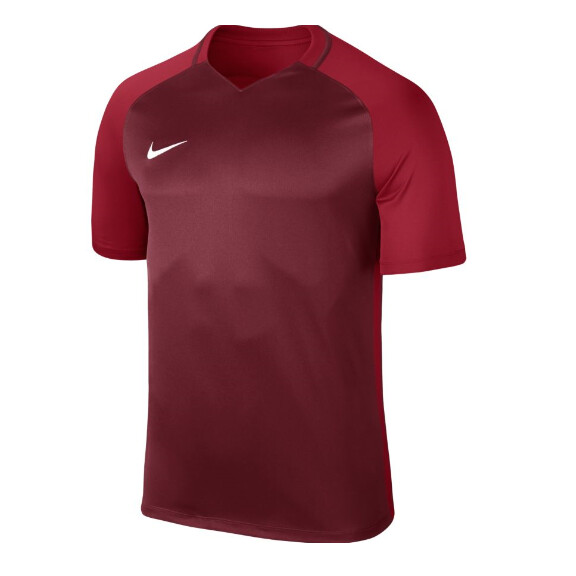 Koszulka piłkarska Nike Dry Team Trophy III Football Jersey Kids 881484-677