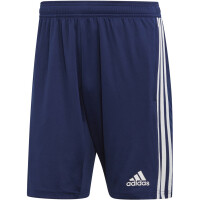 Spodenki piłkarskie adidas Tiro 19 Training Shorts DT5173
