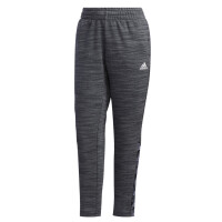Spodnie damskie adidas Essentials Tape Pant szare GE1132