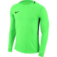 Bluza bramkarska męska Nike Park III Football Jersey zielona 894509 398