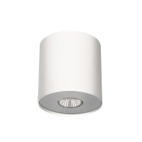 6001 POINT WHITE SILVER PLAFON --rabaty 15% w koszyku