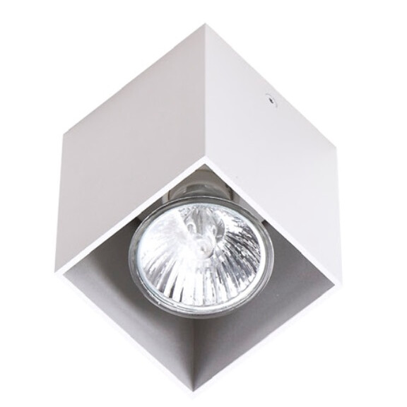 Pet Square C0082 plafon biały Maxlight