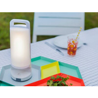 6904101331 Lampa DRAGONFLY Lutec - Mega RABATY W KOSZYKU %