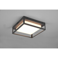 677860142 WITHAM lampa sufitowa ogrodowa Trio - Mega RABATY W KOSZYKU %