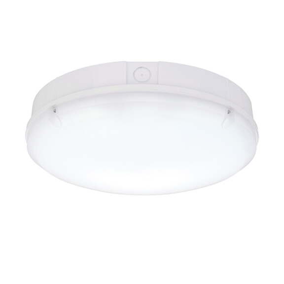 77902 Forca CCT emergency and microwave IP65 18W Saxby - MEGA rabaty w koszyku %