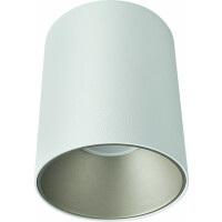8928 Lampa sufitowa EYE TONE white-silver--rabaty 15% w koszyku