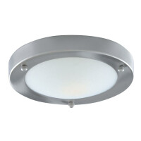 1131-31SS Dublin łazienkowy Lampa sufitowa - satyna srebrny &amp; Acid szkło Searchlight