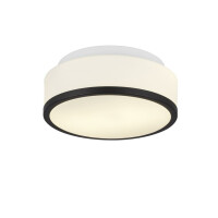 7039-23BK Cheese 2LT Flush - czarny, biały szkło Shade, IP44 Searchlight