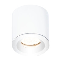 Form C0215 Lampa Sufitowa Biała Ip65 Maxlight
