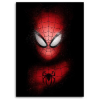 OBRAZ SPIDER MAN ARTIST NA PŁÓTNIE + RAMA