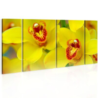 Obraz - Orchids - intensity of yellow color OBRAZ NA PŁÓTNIE WŁOSKIM