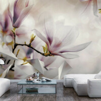 Fototapeta samoprzylepna - Subtelne magnolie - pierwszy wariant
