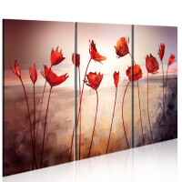 Obraz - Bright red poppies