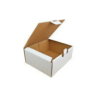 Karton fasonowy 250x210x100 3w biały