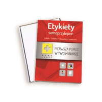 Etykieta bez nadruku 105/148 arkusz (400 etykiet)