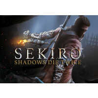 Sekiro: Shadows Die Twice ASIA Steam CD Key
