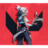 VALORANT $35 USD NA CD Key