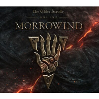The Elder Scrolls III Morrowind GOTY RU VPN Required Steam CD Key