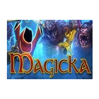Magicka PL Steam CD Key