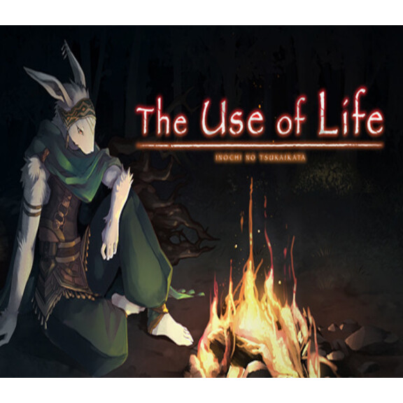 The Use of Life Steam CD Key