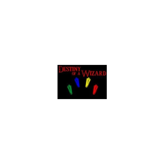 Destiny of a Wizard Steam CD Key