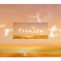 Trinity Steam CD Key