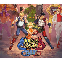 Double Dragon Gaiden: Rise Of The Dragons PC Steam CD Key