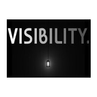 Visibility Steam CD Key