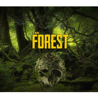 The Forest PS4 Account