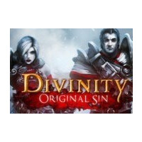 Divinity: Original Sin GOG CD Key