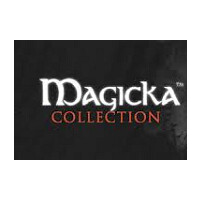 Magicka: Collection 2013 Steam Gift