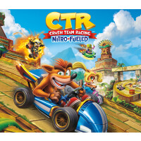 Crash Team Racing Nitro-Fueled Nintendo Switch Account pixelpuffin.net Activation Link