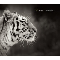 Smart Photo Editor Download CD Key