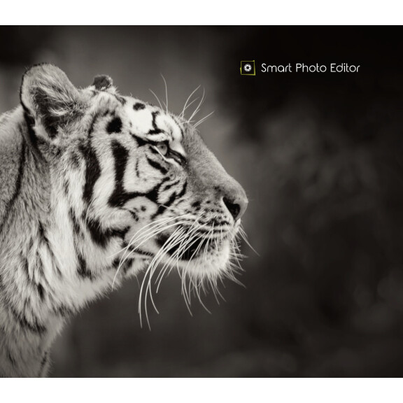 Smart Photo Editor Download CD Key