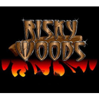 Risky Woods Steam CD Key
