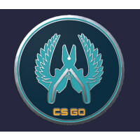 CS:GO - Series 1 - Guardian Collectible Pin