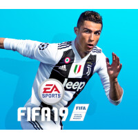 FIFA 19 EN/PL Languages Only Origin CD Key