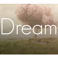 Dream Steam Gift