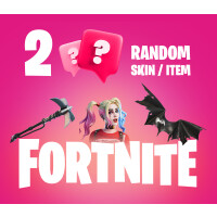 2 Random Fortnite Skins / Items PC Epic Games CD Key
