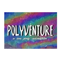 Polyventure Steam CD Key