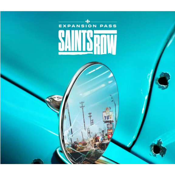 Saints Row - Expansion Pass DLC EU Steam CD Key