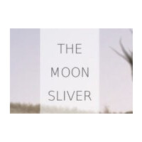The Moon Sliver Steam CD Key