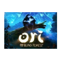 Ori and the Blind Forest Steam Gift